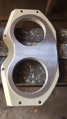 Vervangstukken 260mm van de douaneschwing Concrete Pomp Schouwspelplaat